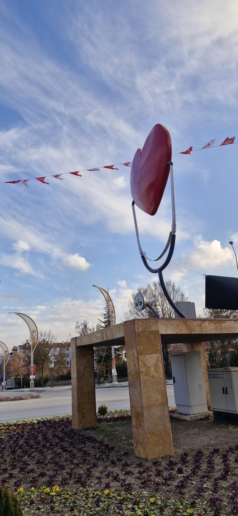 Elazığ Belediyesi Bahaeddin Ögel Caddesi Anıt (9)